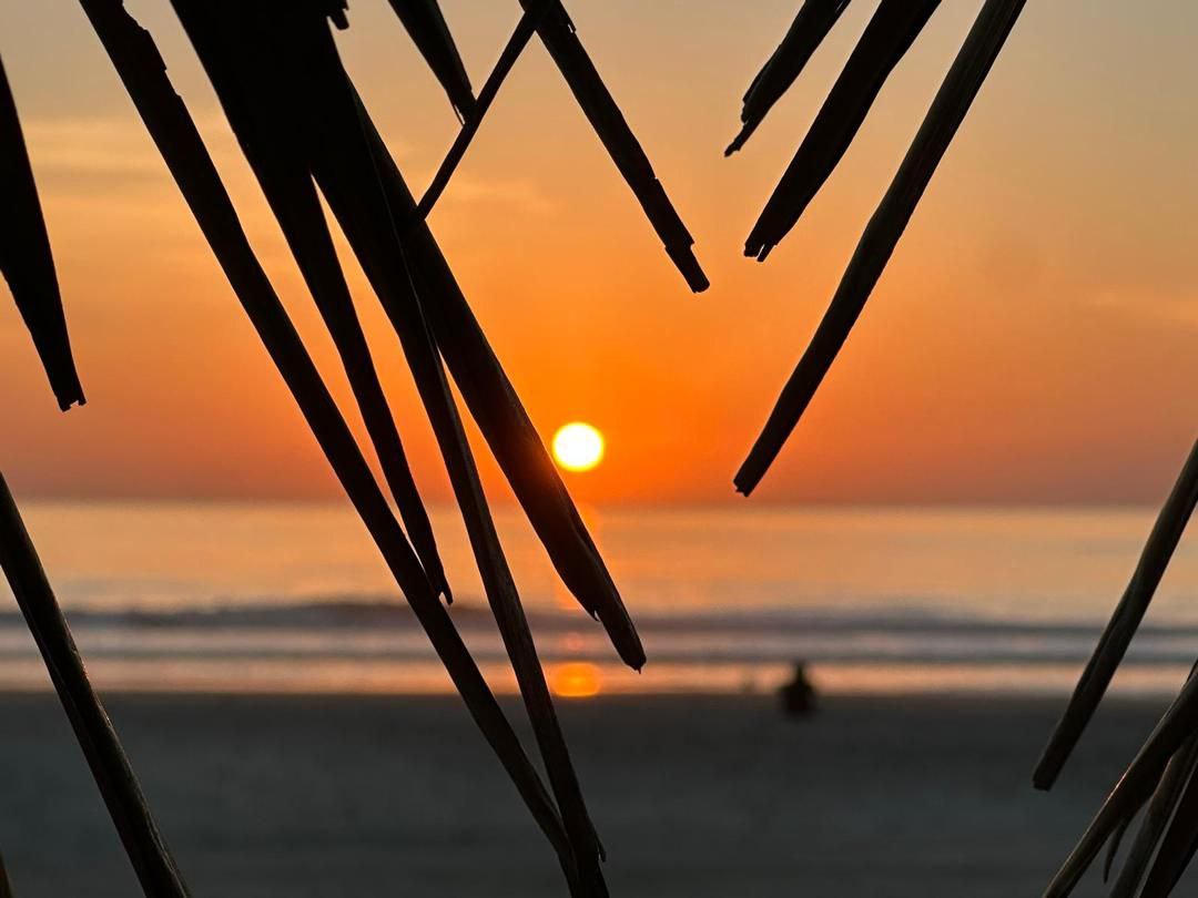 Superbe coucher de soleil sur l'océan à Cap-Skirring, vu à travers les silhouettes des palmes, créant une ambiance tropicale et apaisante depuis le Campement Buhanor.