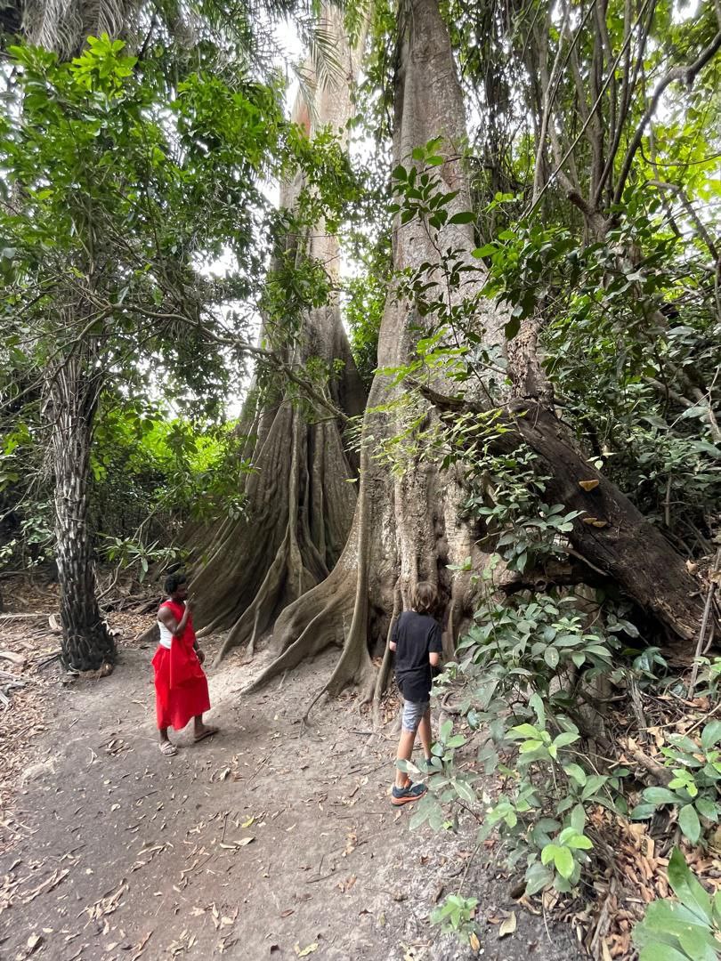 L'EcoMusée Diola de Boucotte en Casamance, présentant des figures traditionnelles et des objets culturels au pied d'un arbre sacré, un site à visiter depuis le Campement Buhanor.
