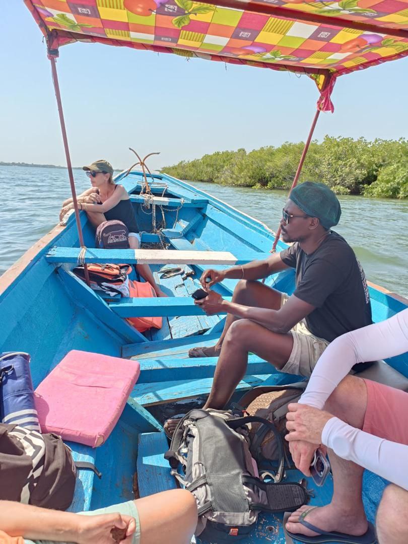 Excursion en pirogue à travers les magnifiques mangroves et bolongs de Casamance, une aventure paisible et immersive proposée par le Campement Buhanor à Cap-Skirring.