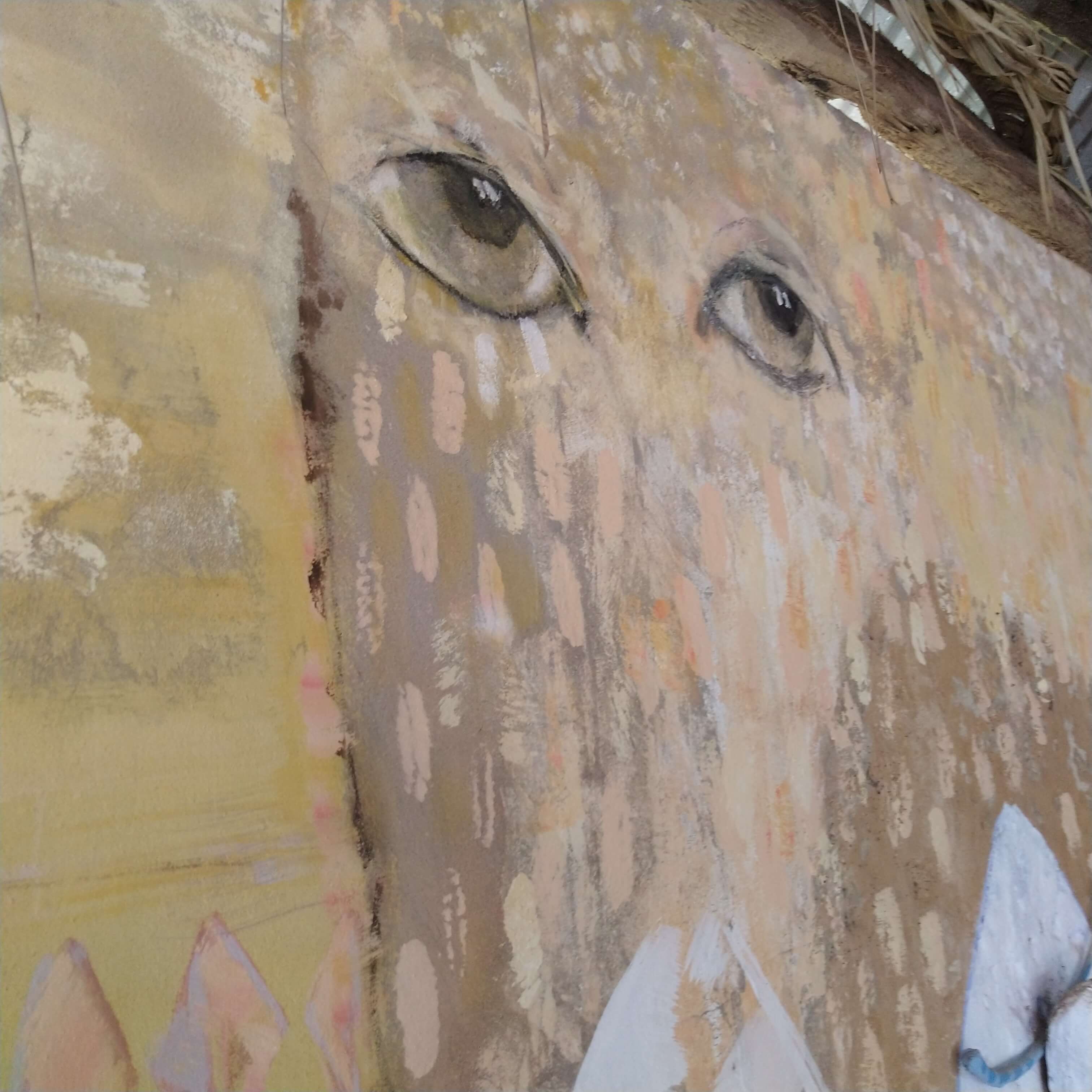 Gros plan sur un mur d'un bâtiment traditionnel Diola au Campement Buhanor, présentant des yeux stylisés peints, un exemple de l'art mural et des motifs traditionnels de la culture Diola.