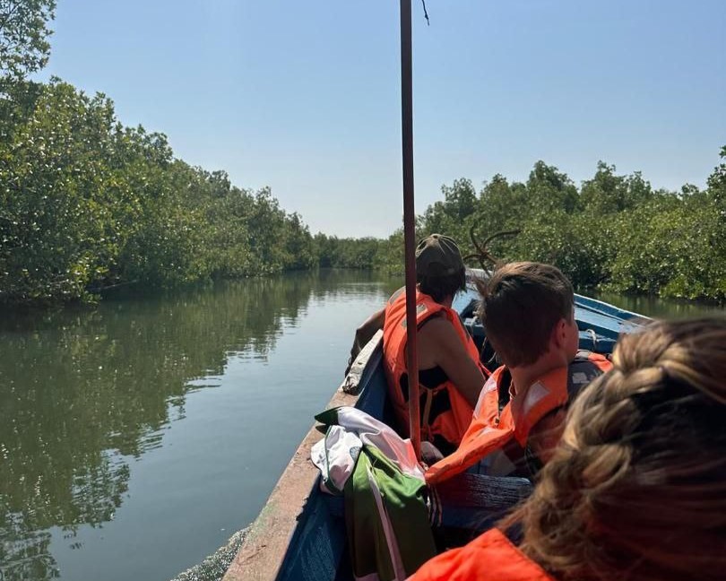 Embarquez pour une balade inoubliable en pirogue à travers les mystérieux bolongs et la dense mangrove de Casamance. Observez les oiseaux exotiques et imprégnez-vous de la sérénité de ces paysages aquatiques uniques près de Cap Skirring et du Campement Buhanor.
