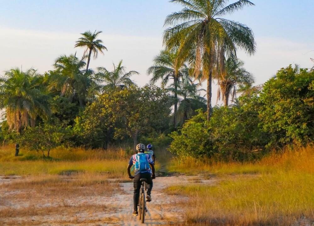 Explorez la beauté luxuriante de la Casamance à vélo ou lors de randonnées. Découvrez une faune et une flore exceptionnelles tout en profitant de l'air pur. Une immersion profonde dans la nature et les paysages de Cap Skirring pour les amateurs d'aventure.