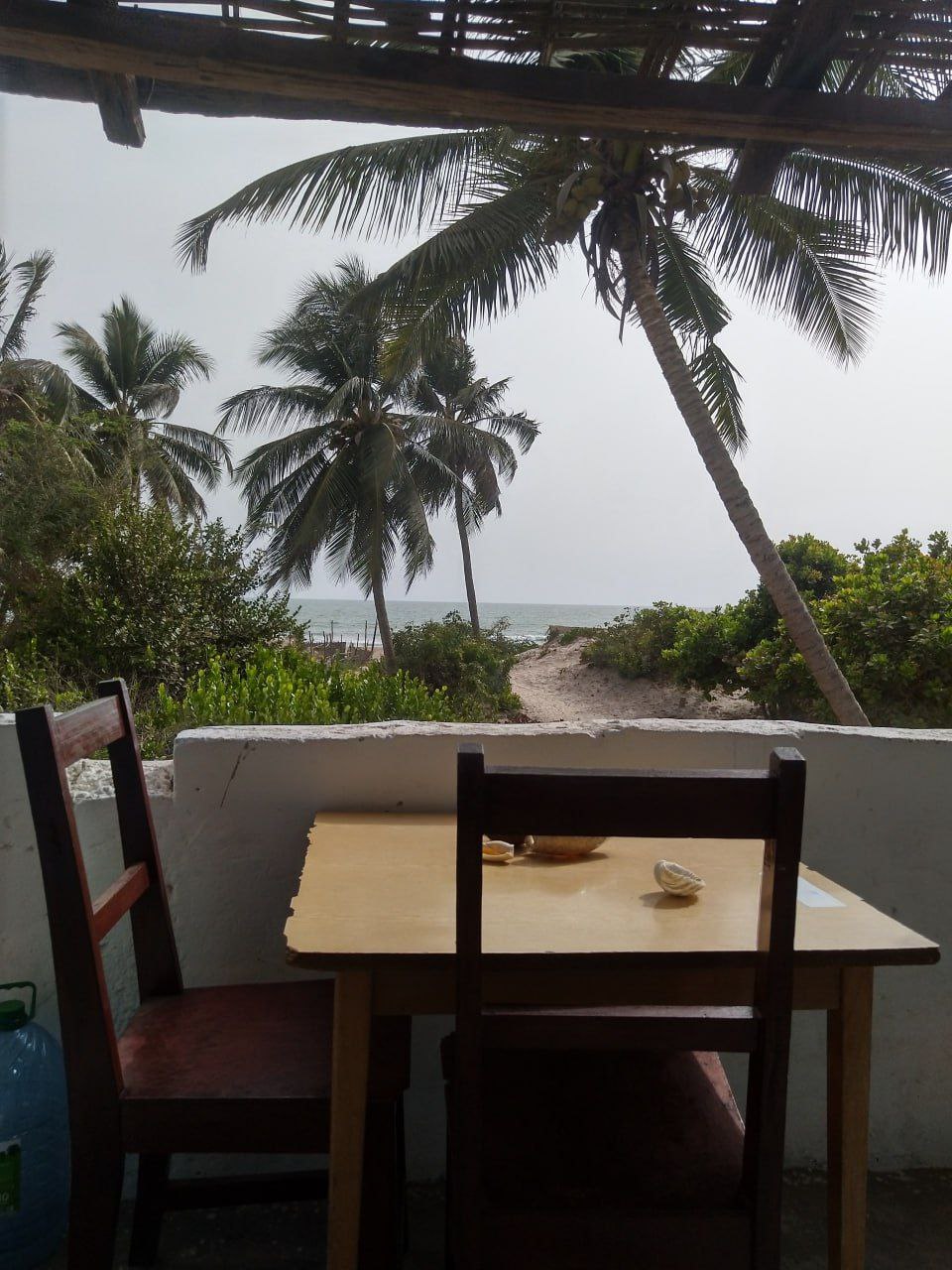 Terrasse du Campement Buhanor offrant une vue imprenable sur les palmiers et la végétation luxuriante, menant à la plage de Cap-Skirring