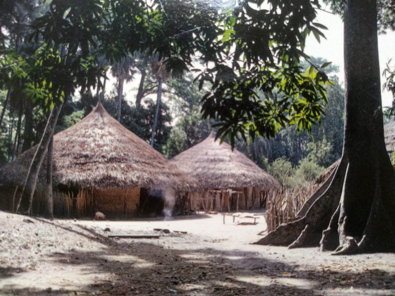 Illustration de l'architecture traditionnelle Diola en Casamance, avec des cases typiques et des arbres sacrés, représentant les racines culturelles du Campement Buhanor, près de Cap-Skirring.